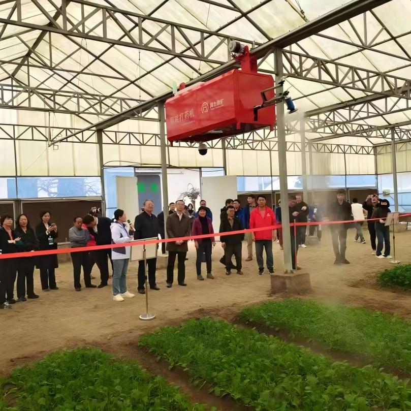 国产亚洲一区二区在线观看