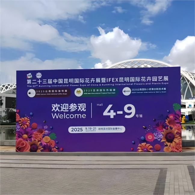 国产亚洲一区二区在线观看