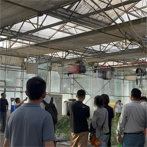 国产亚洲一区二区在线观看