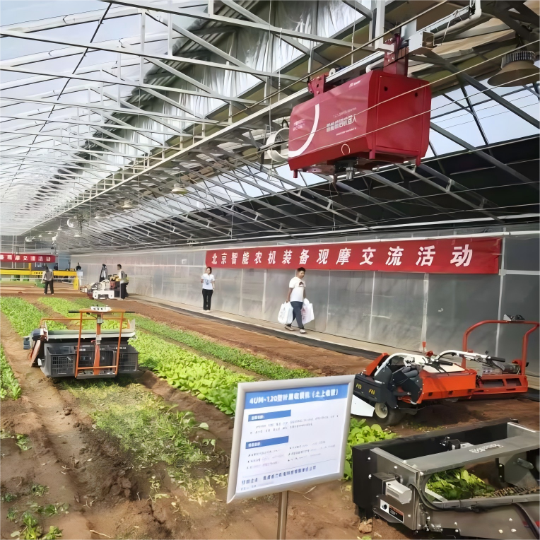 国产亚洲一区二区在线观看