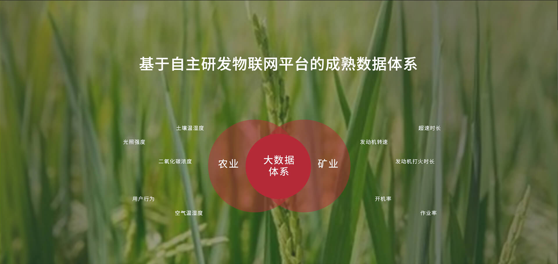 国产亚洲一区二区在线观看